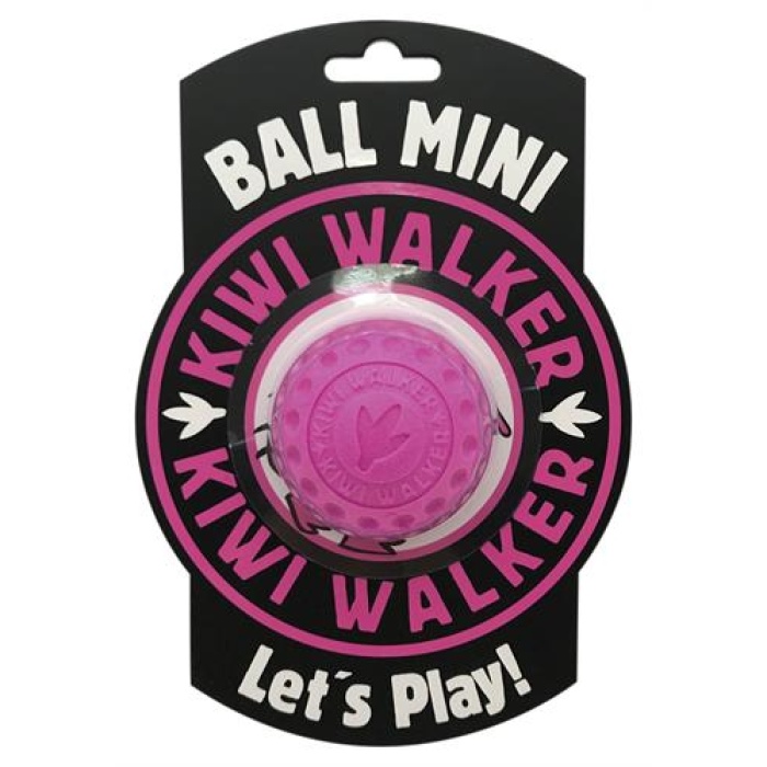 Kiwi Walker Dayanıklı Yüzen Köpek Oyuncağı Ball Mini