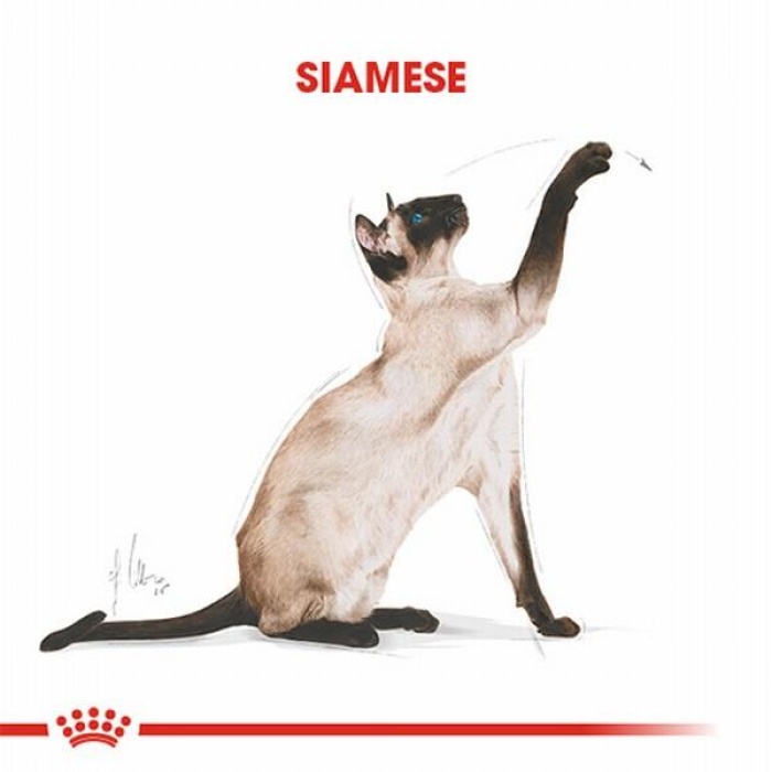 Royal Canin Siamese Adult Siyam Yetişkin Kedi Maması 2 Kg