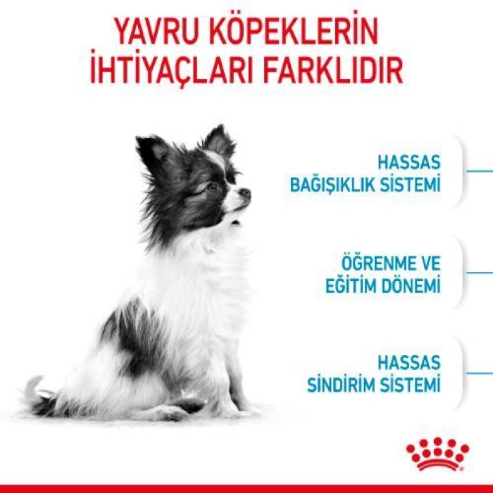 Royal Canin X Small Puppy Küçük Irk Yavru Köpek Maması 1,5 Kg