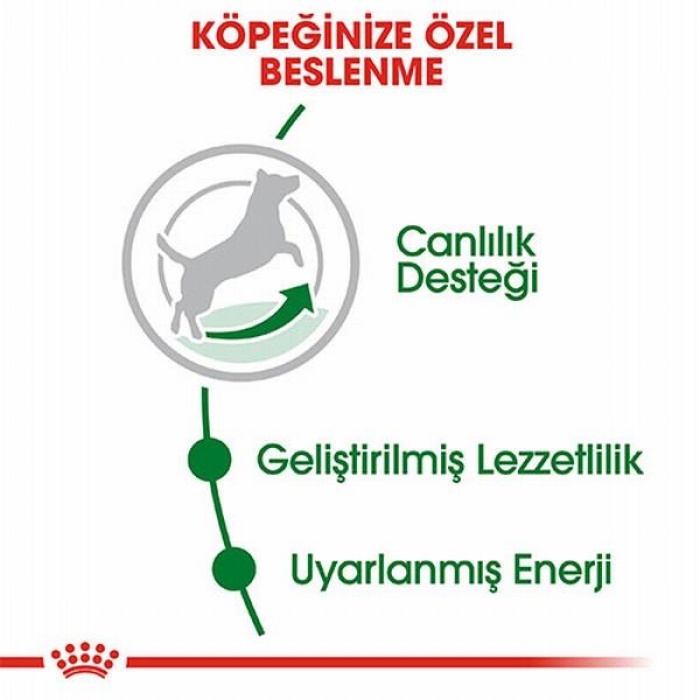 Royal Canin Mini Adult 8+ Küçük Irk Yaşlı Köpek Maması 2 Kg