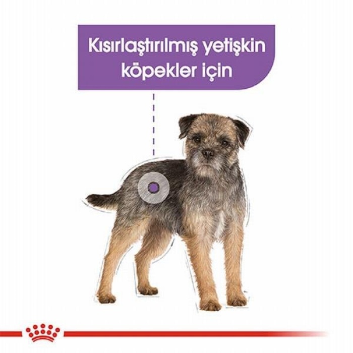 Royal Canin Ccn Sterilised Pouch Kısırlaştırılmış Köpek Konservesi 85 Gr