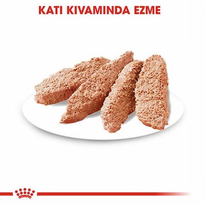 Royal Canin Ccn Dermacomfort Loaf Pate Pouch Küçük Irk Yetişkin Köpek Konservesi 85 Gr