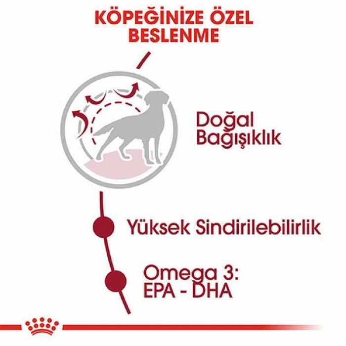 Royal Canin Medium Adult Orta Irk Yetişkin Köpek Maması 15 Kg