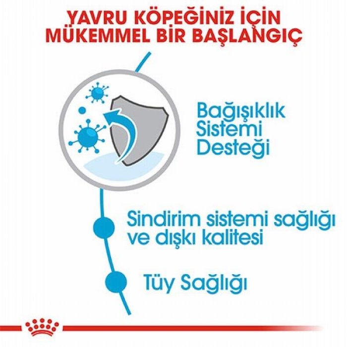 Royal Canin Mini Indoor Puppy Küçük Irk Yavru Köpek Maması 1,5 Kg