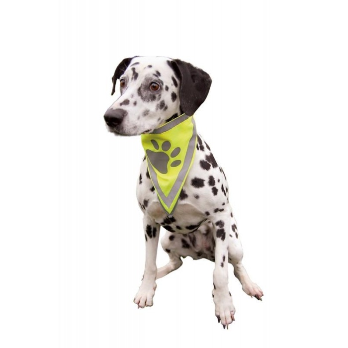 Trixie Köpek Bandanası L-XL 42-60cm