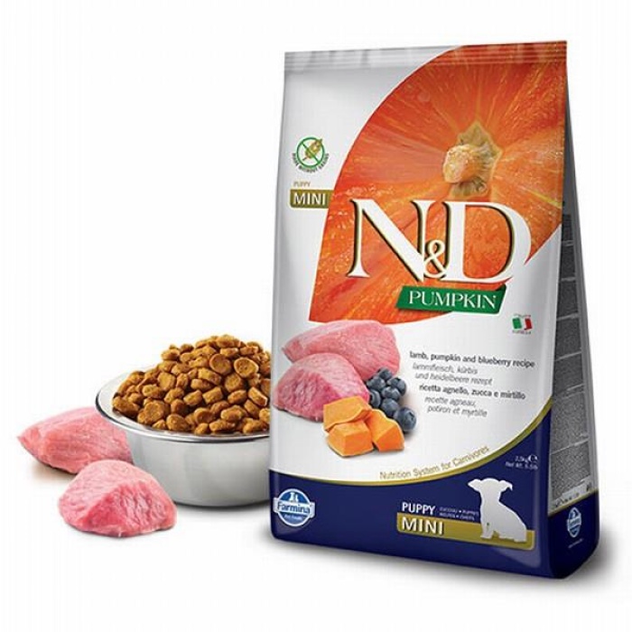 N&D Pumpkin Balkabaklı Kuzulu Yaban Mersinli Küçük Irk Tahılsız Yavru Köpek Maması 2,5 Kg