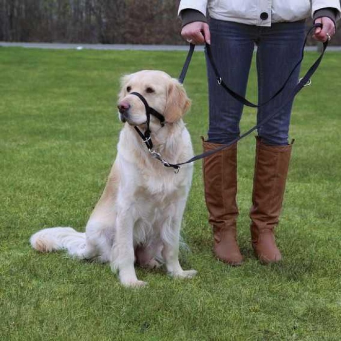 Trixie Uzman Köpek Eğitim Tasması 37cm L-XL