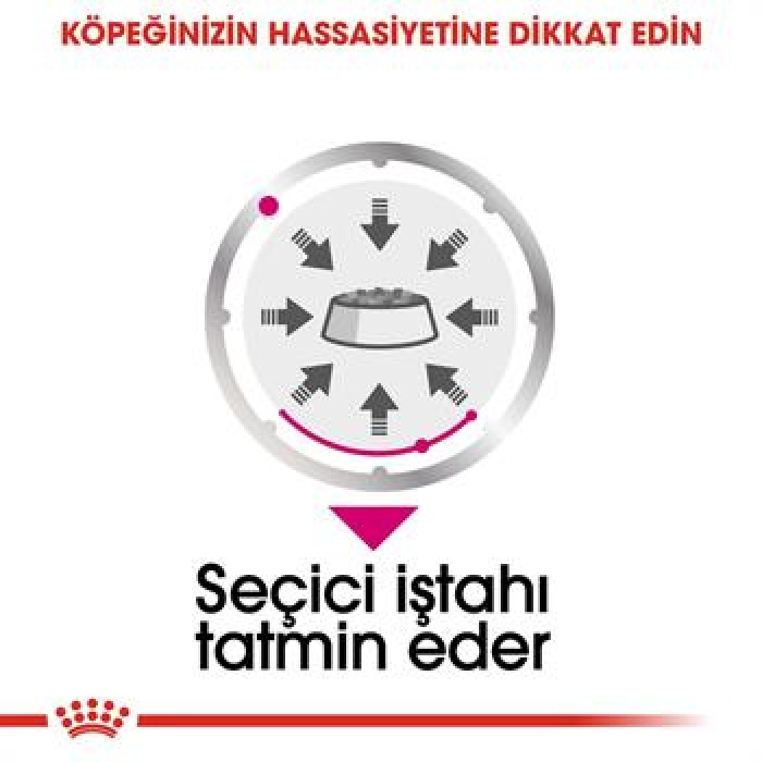 Royal Canin Ccn Exigent Loaf Pate Pouch Küçük Irk Yetişkin Köpek Konservesi 85 Gr