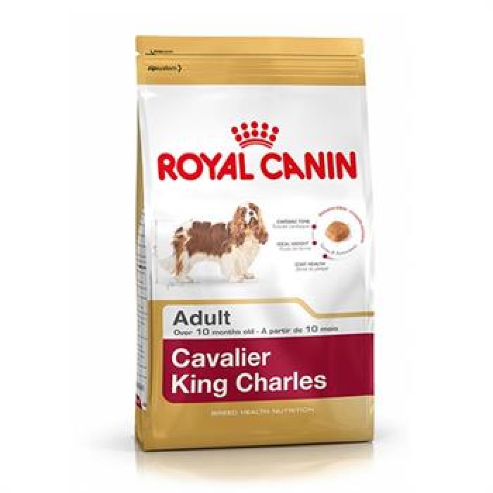 Royal Canin Cavalier King Charles Adult Yetişkin Köpek Maması 3 Kg