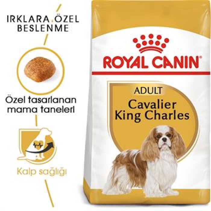 Royal Canin Cavalier King Charles Adult Yetişkin Köpek Maması 3 Kg