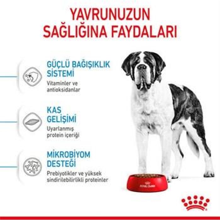 Royal Canin Giant Junior Dev Irk Puppy Yavru Köpek Maması 15 Kg