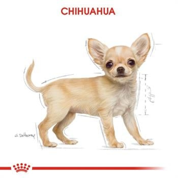 Royal Canin Chihuahua Puppy Yavru Köpek Maması 1,5 Kg