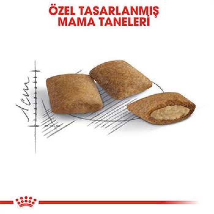 Royal Canin Ageing 12+ Senior Yaşlı Kedi Maması 2 Kg