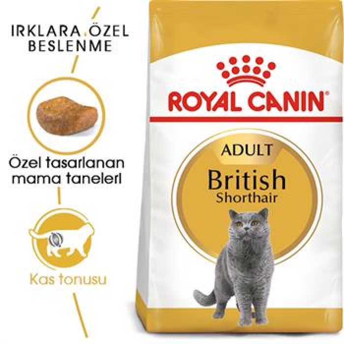 Royal Canin British Shorthair Adult Yetişkin Kedi Maması 2 Kg