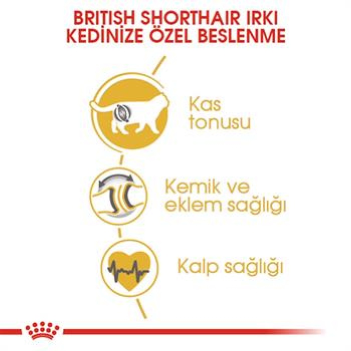 Royal Canin British Shorthair Adult Yetişkin Kedi Maması 2 Kg