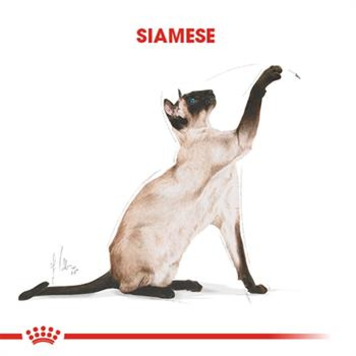 Royal Canin Siamese Adult Siyam Yetişkin Kedi Maması 2 Kg