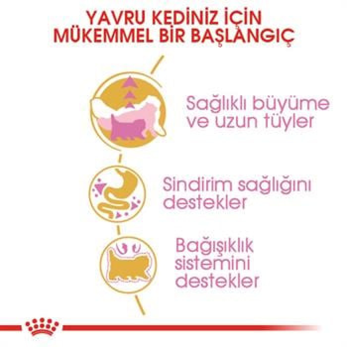 Royal Canin Persian Kitten İran Yavru Kedi Maması 2 Kg