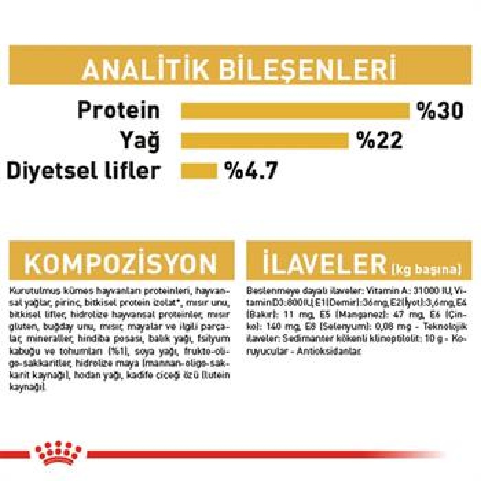 Royal Canin Persian Adult İran Yetişkin Kedi Maması 4 Kg