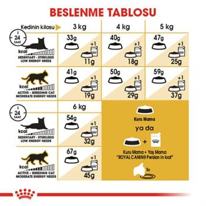 Royal Canin Persian Adult İran Yetişkin Kedi Maması 4 Kg