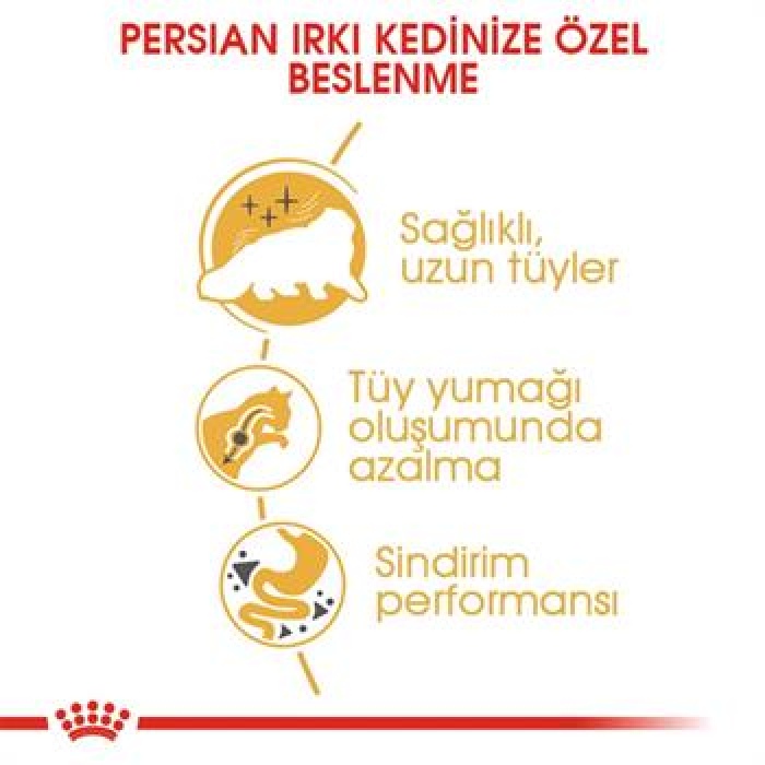 Royal Canin Persian Adult İran Yetişkin Kedi Maması 4 Kg