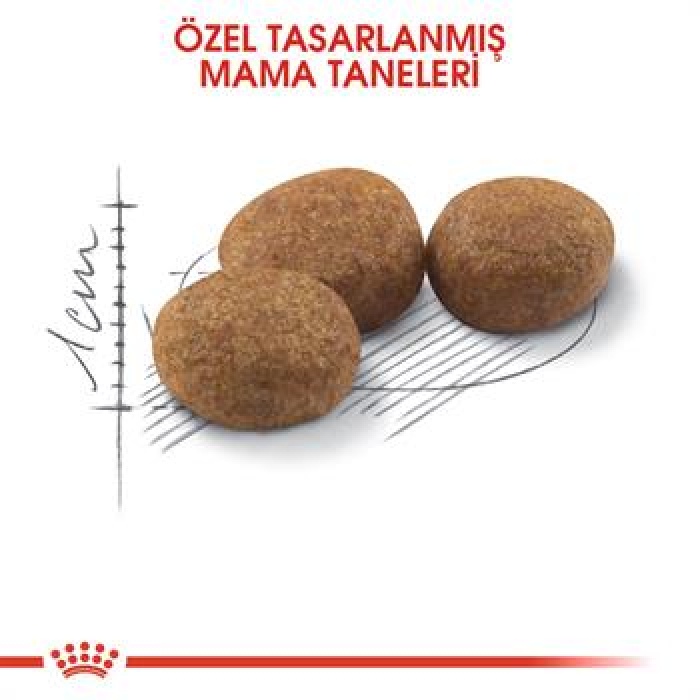 Royal Canin Sterilised 37 Kısırlaştırılmış Kedi Maması 2 Kg