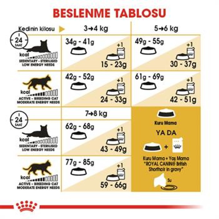 Royal Canin British Shorthair Adult Yetişkin Kedi Maması 4 Kg