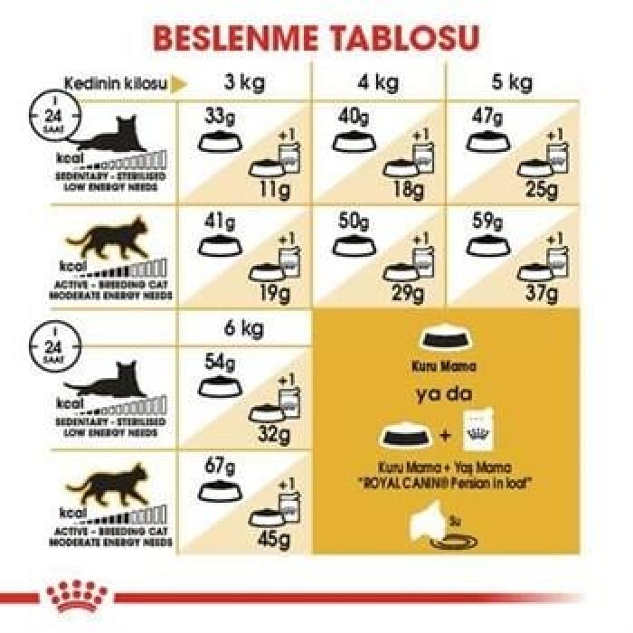 Royal Canin Persian Adult İran Yetişkin Kedi Maması 400 Gr