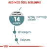 Royal Canin Hairball Tüy Yumağı Önleyici Yetişkin Kedi Maması 2 Kg