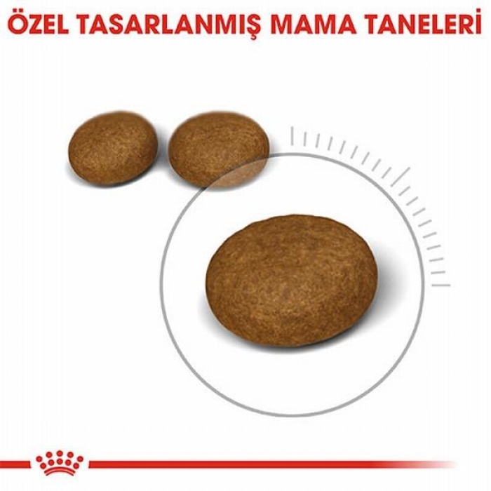 Royal Canin Hair Skin Adult Hassas Tüy Sağlığı Yetişkin Kedi Maması 4 Kg