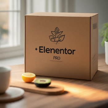 Elementor Pro