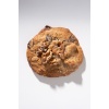 Cevizli Chocolate Chip NY Cookie 6lı Hediye Kutusu