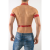 Erkek Harness