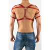 Erkek Harness