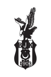 Beşiktaş ve Kartal Metal Tablo