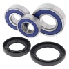 Abr Wheel Bearing Kit Rear 25-1703