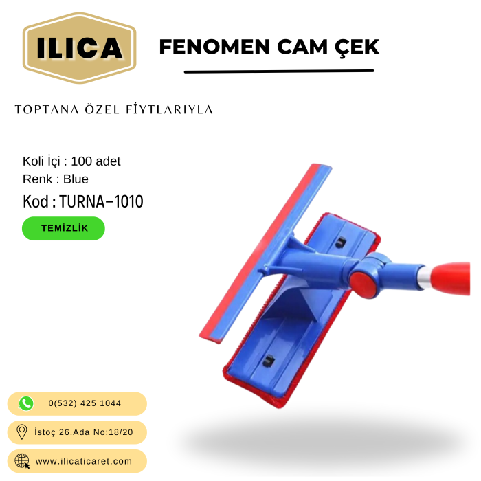 EKONOMİK FENOMEN CAM ÇEK