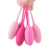 Censan Rose 6lı Kegel Egzersiz Topu