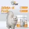 Dr. Paw - Derma H Plus: Kediler İçin Glutensiz ve Şeker İlavesiz Tüy ve Cilt Sağlığı Destekleyici Çiğnenebilir Tablet (90 gr)