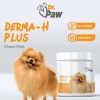 Dr. Paw - Derma H Plus: Küçük Irk Köpekler İçin Glutensiz ve Şeker İlavesiz Tüy ve Cilt Sağlığı Destekleyici Çiğnenebilir Tablet (90 gr)