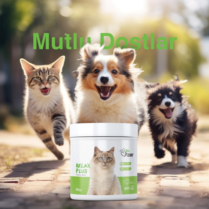 Dr. Paw - Relax Plus: Kediler İçin Glutensiz ve Şeker İlavesiz Stres Azaltıcı Çiğnenebilir Tablet (90 gr)