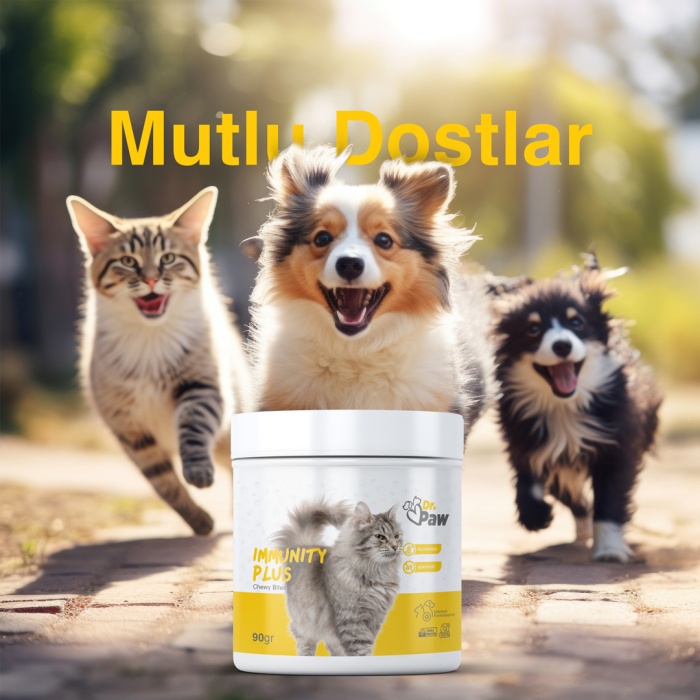 Dr. Paw - Immunity Plus: Kediler İçin Glutensiz ve Şeker İlavesiz Bağışıklık Sistemi Destekleyici Çiğnenebilir Tablet (90 gr)