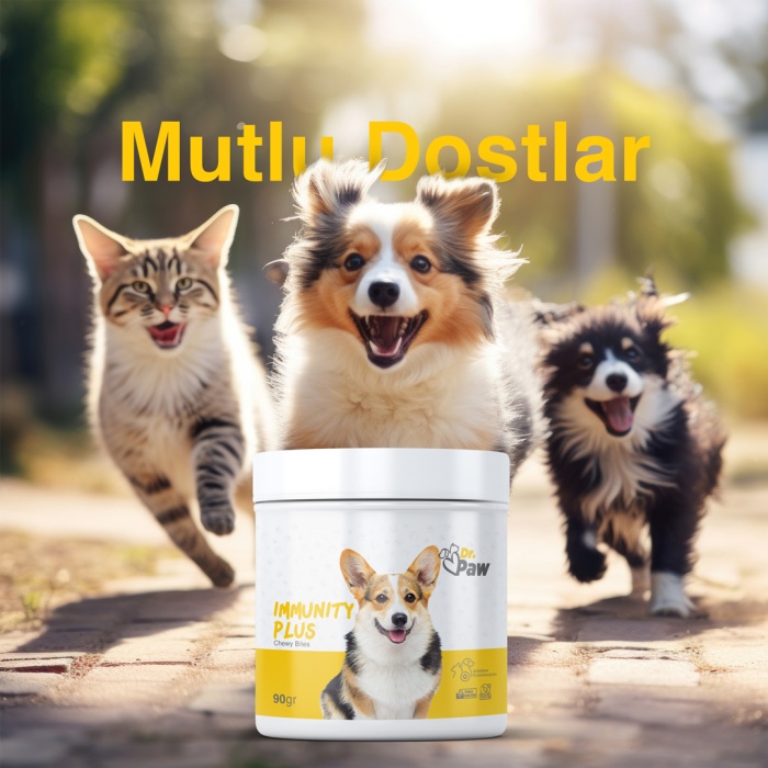 Dr. Paw - Immunity Plus: Küçük Irk Köpekler İçin Glutensiz ve Şeker İlavesiz Bağışıklık Sistemi Destekleyici Çiğnenebilir Tablet (90 gr)