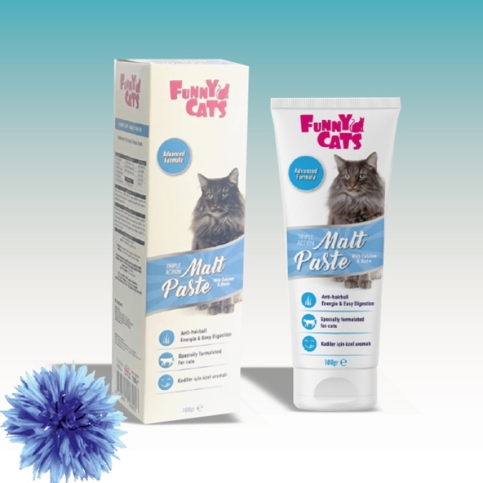 FUNNY CATS MALT PASTE 100GR