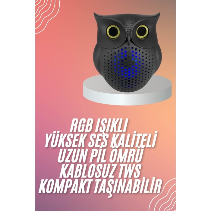 Müzik Çalar Bluetooth Hoparlör Speaker 5.0 Kablosuz Baykuş Görünümlü