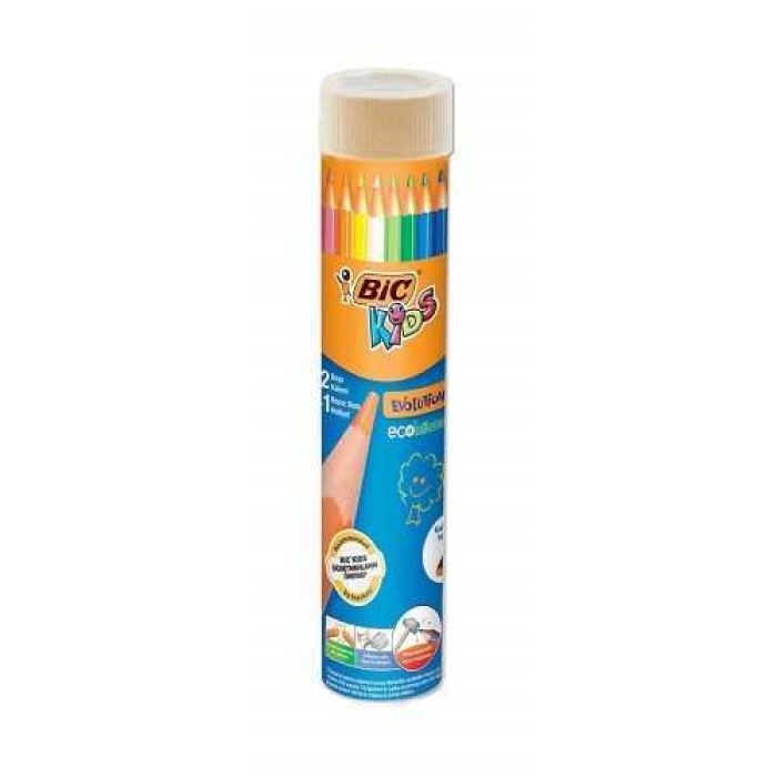 BIC TÜPLÜ KURU BOYA 12 Lİ