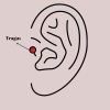316l Çelik Gümüş Renk Zirkon Taşlı Tragus Piercing - Tj-pr1349