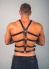 Erkek Fantazi Giyim Gay Harness