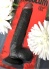 28 Cm Hoodlum Zenci Dildo