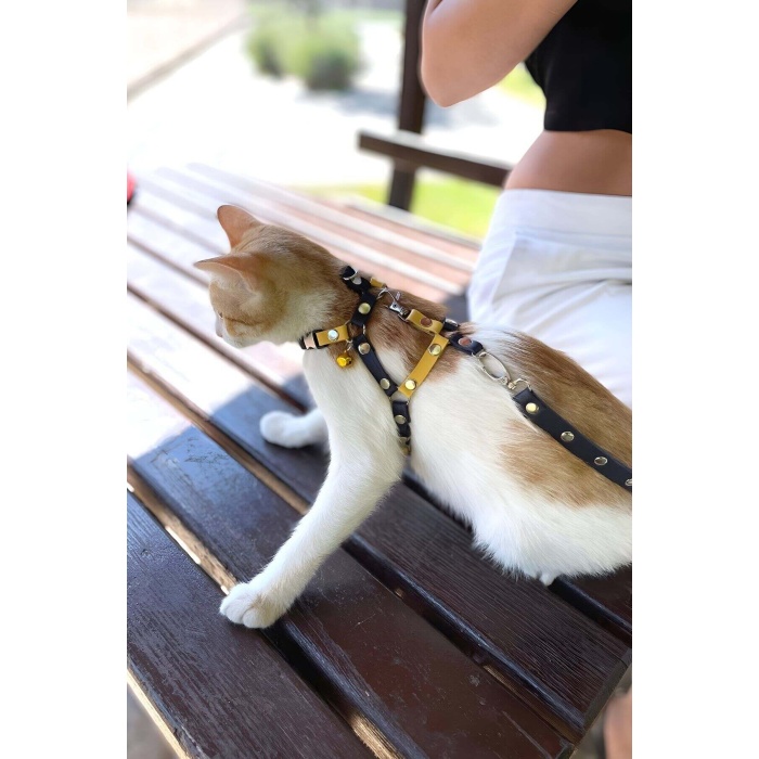 Sarı Lacivert Fanatik Kedi Gezdirme Göğüs Tasması