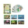 NessiWorld 1352FlashCardsİlk50Hayvan-Dıytoy